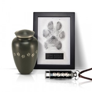 Paw print on a nice frame, along with an urn and a pet's tag